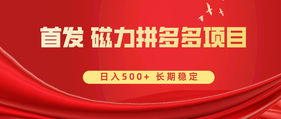 首发 磁力拼多多自撸 日入500+-副业网创