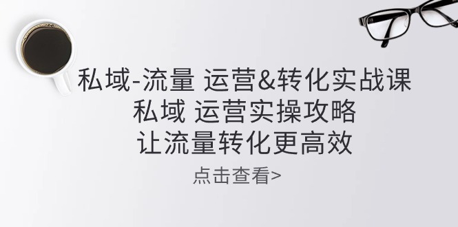 （10739期）私域-流量 运营&转化实操课：私域 运营实操攻略 让流量转化更高效-副业网创