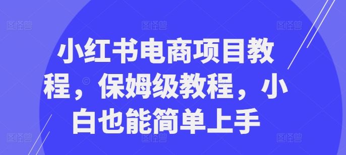 小红书电商项目教程，保姆级教程，小白也能简单上手-副业网创