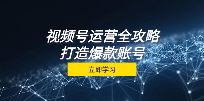视频号运营全攻略，从定位到成交一站式学习，视频号核心秘诀，打造爆款账号-副业网创