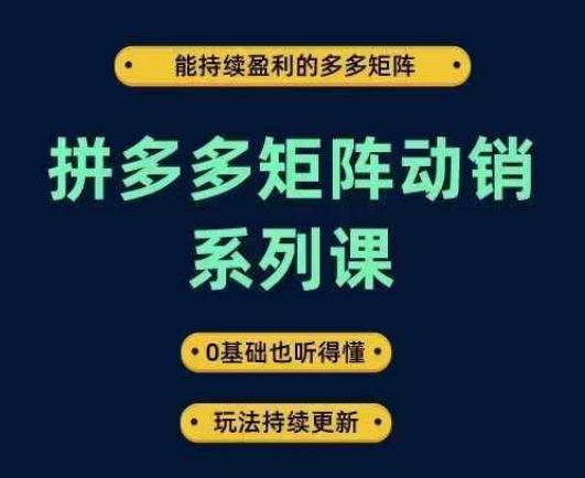 拼多多矩阵动销系列课，能持续盈利的多多矩阵，0基础也听得懂，玩法持续更新-副业网创