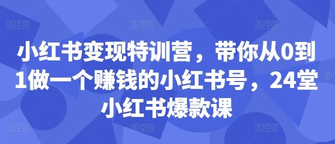 小红书变现特训营，带你从0到1做一个赚钱的小红书号，24堂小红书爆款课-副业网创