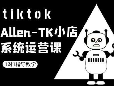 TK小店系统运营课-tiktok跨境电商教程-副业网创