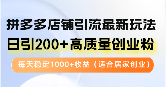 （12893期）拼多多店铺引流最新玩法，日引200+高质量创业粉，每天稳定1000+收益（…-副业网创