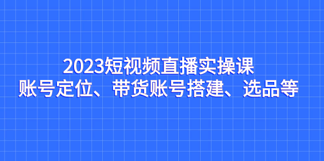 2023短视频直播实操课，账号定位、带货账号搭建、选品等-副业网创