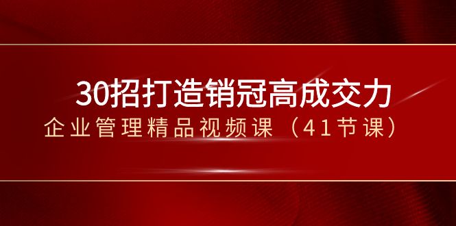 30招-打造销冠高成交力-企业管理精品视频课（41节课）-副业网创