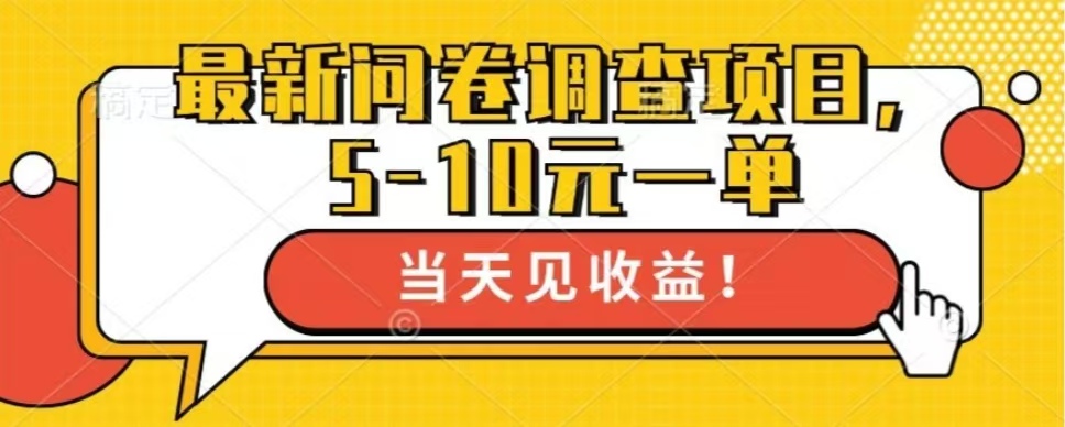 最新问卷调查项目，共12个平台，单日零撸100＋-副业网创