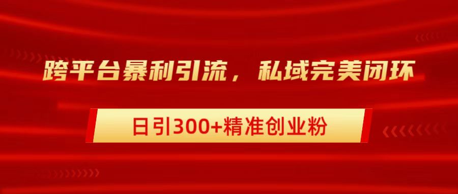 跨平台暴力引流，私域完美闭环，日引300+精准创业粉-副业网创