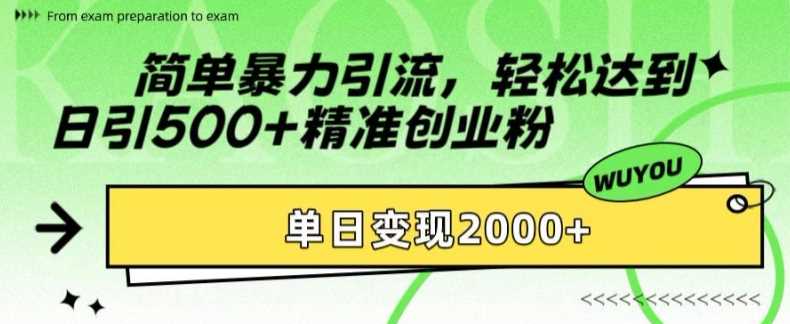 简单暴力引流轻松达到日引500+精准创业粉，单日变现2k【揭秘】-副业网创