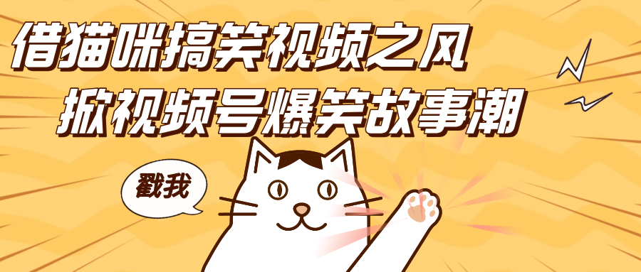借猫咪搞笑视频之风，掀视频号爆笑故事潮，轻松日赚四位数，开启无门槛赚钱新体验！-副业网创