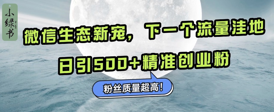 微信生态新宠小绿书：下一个流量洼地，粉丝质量超高，日引500+精准创业粉，-副业网创