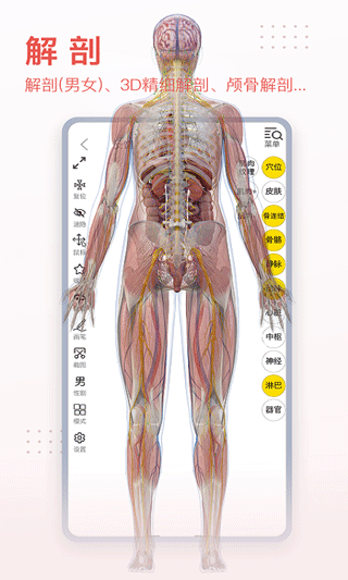 3dbody解剖苹果版 v8.8.21-副业网创