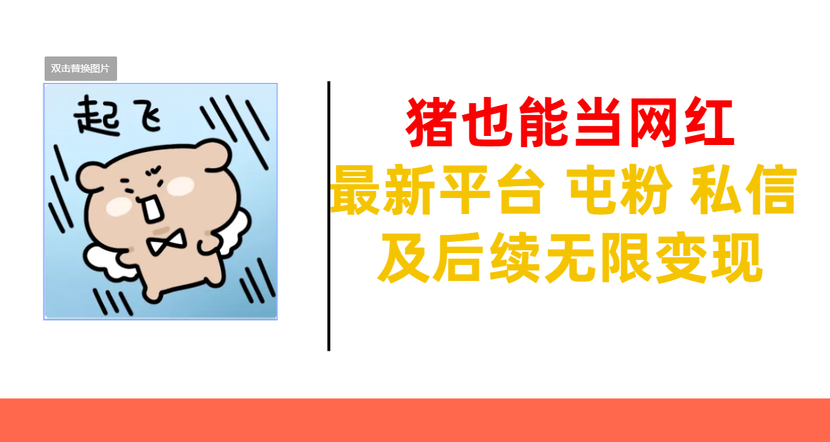 猪也能当网红-最新平台 屯粉 交流 私信 及后续无限变现-副业网创