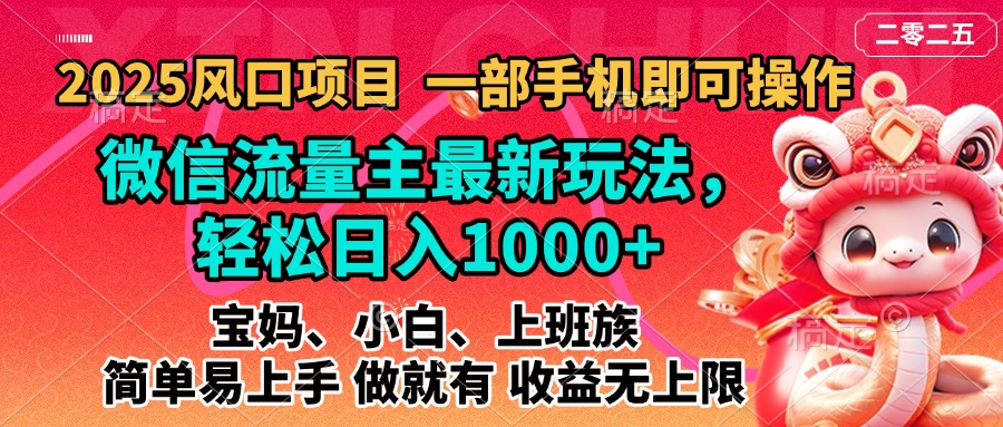 2025蓝海风口项目，微信流量主最新玩法，轻松日入1000+，简单易上手，做就有 收益无上限-副业网创