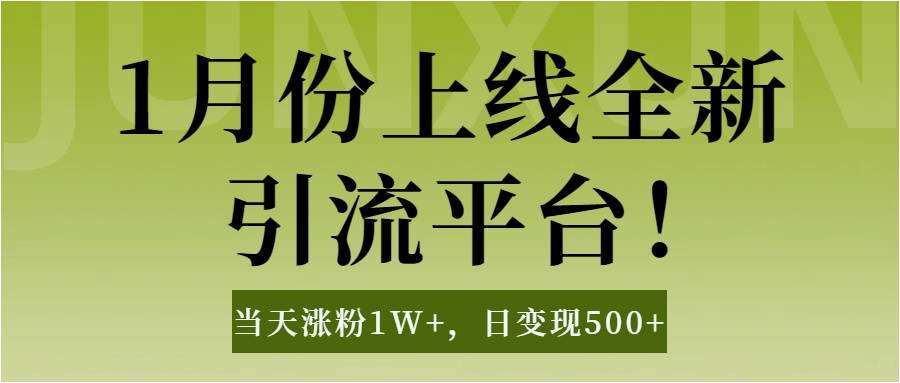 1月上线全新引流平台，当天涨粉1W+，日变现500+工具无脑涨粉，解放双手操作简单-副业网创