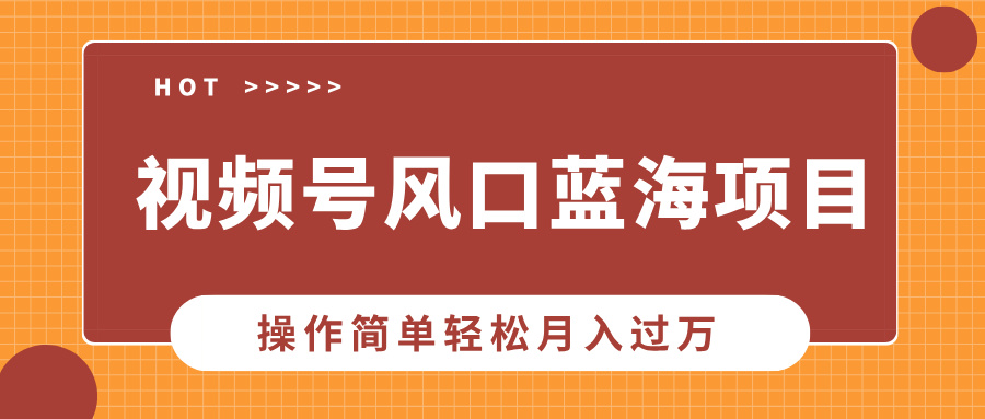 视频号风口蓝海项目，中老年人的流量密码，操作简单轻松月入过万-副业网创