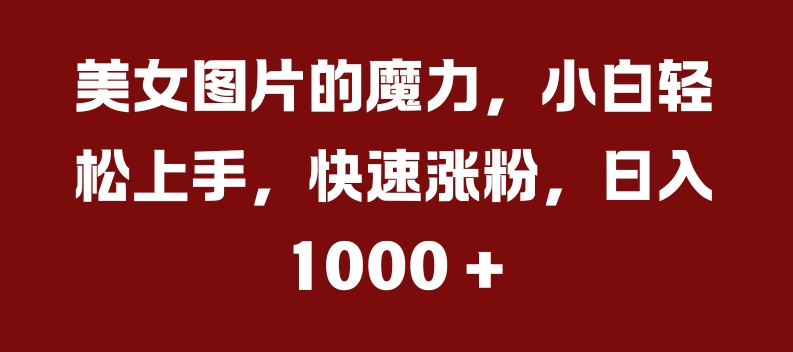 美女图片的魔力，小白轻松上手，快速涨粉，日入几张【揭秘】-副业网创