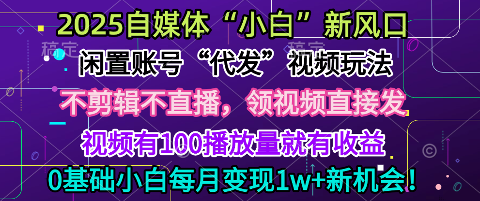 2025每月躺赚5w+新机会，闲置视频账号一键代发玩法，0粉不实名不剪辑，领了视频直接发，0基础小白也能日入300+-副业网创