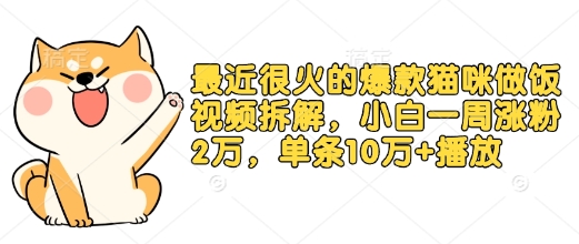 最近很火的爆款猫咪做饭视频拆解，小白一周涨粉2万，单条10万+播放(附保姆级教程)-副业网创